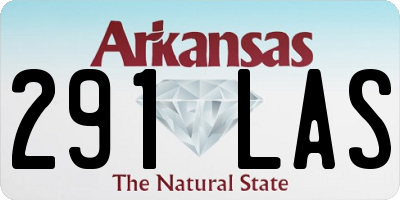 AR license plate 291LAS