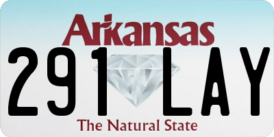 AR license plate 291LAY