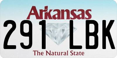 AR license plate 291LBK