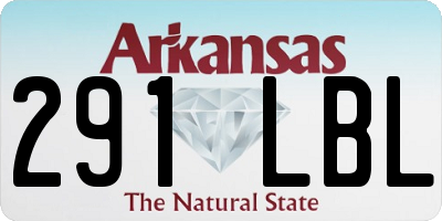 AR license plate 291LBL