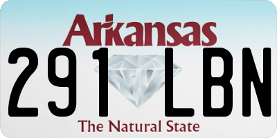 AR license plate 291LBN