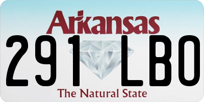 AR license plate 291LBO