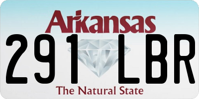 AR license plate 291LBR