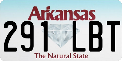 AR license plate 291LBT