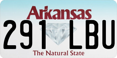 AR license plate 291LBU