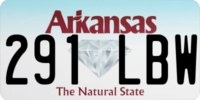 AR license plate 291LBW