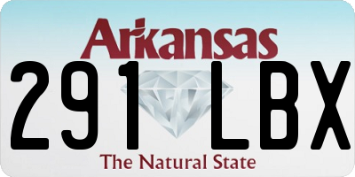 AR license plate 291LBX