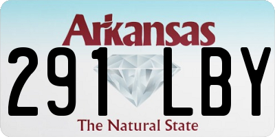 AR license plate 291LBY