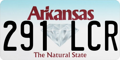 AR license plate 291LCR