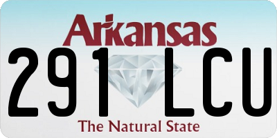 AR license plate 291LCU