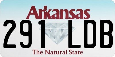 AR license plate 291LDB