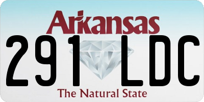 AR license plate 291LDC