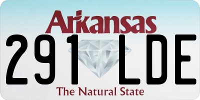 AR license plate 291LDE