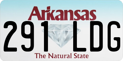 AR license plate 291LDG