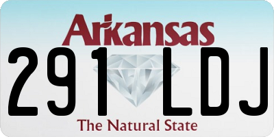 AR license plate 291LDJ