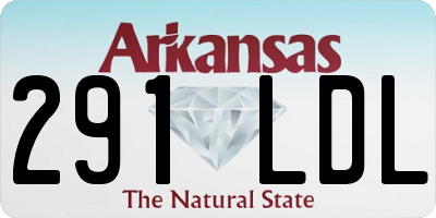 AR license plate 291LDL