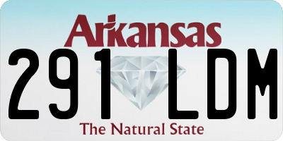 AR license plate 291LDM