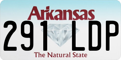 AR license plate 291LDP