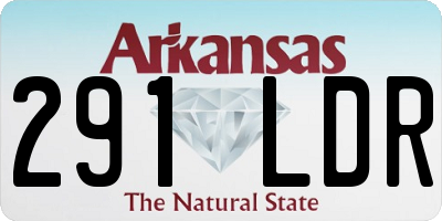 AR license plate 291LDR