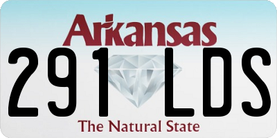AR license plate 291LDS