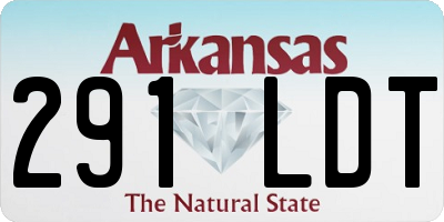 AR license plate 291LDT