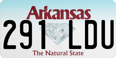 AR license plate 291LDU