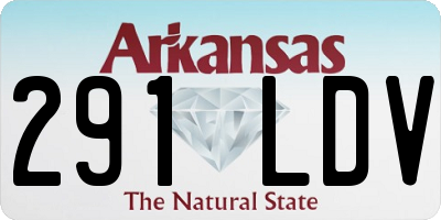 AR license plate 291LDV