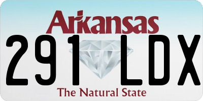 AR license plate 291LDX