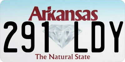 AR license plate 291LDY