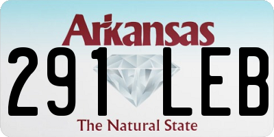 AR license plate 291LEB