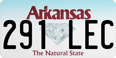 AR license plate 291LEC