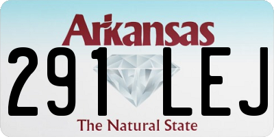 AR license plate 291LEJ