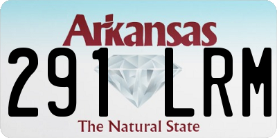 AR license plate 291LRM