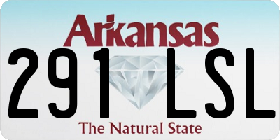 AR license plate 291LSL
