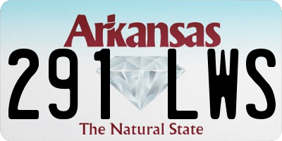 AR license plate 291LWS