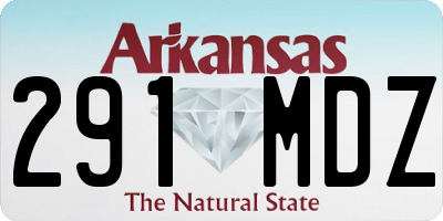 AR license plate 291MDZ