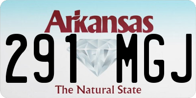 AR license plate 291MGJ