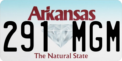 AR license plate 291MGM