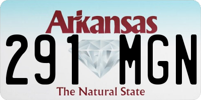 AR license plate 291MGN