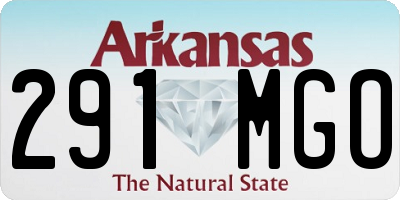 AR license plate 291MGO