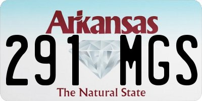 AR license plate 291MGS