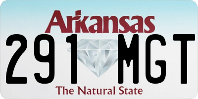 AR license plate 291MGT