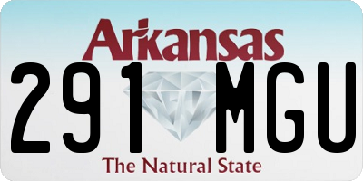 AR license plate 291MGU
