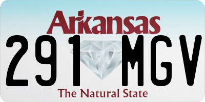 AR license plate 291MGV