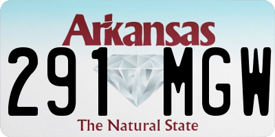 AR license plate 291MGW