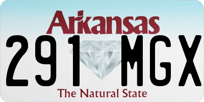 AR license plate 291MGX