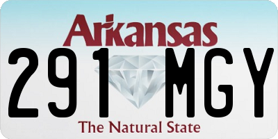 AR license plate 291MGY