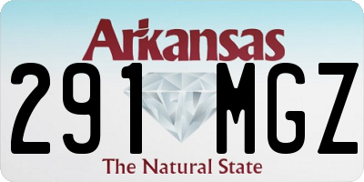 AR license plate 291MGZ