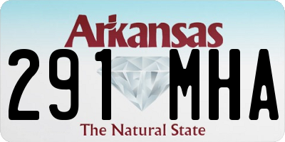 AR license plate 291MHA