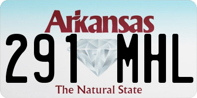 AR license plate 291MHL